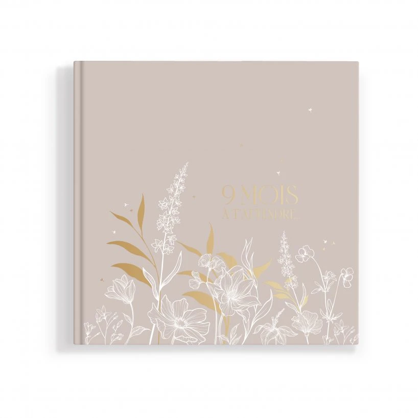 Journal De Grossesse 9 Mois à T’attendre De Zakuw 3 Journal De Grossesse 9 Mois à T’attendre De Zakuw